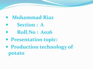  Muhammad Riaz
 Section : A
 Roll.No : A026
 Presentation topic:
 Production technology of
potato
 