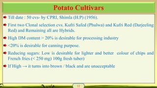 Till date : 50 cvs- by CPRI, Shimla (H.P) (1956).
First two Clonal selection cvs. Kufri Safed (Phulwa) and Kufri Red (Darjeeling
Red) and Remaining all are Hybrids.
High DM content > 20% is desirable for processing industry
<20% is desirable for canning purpose.
Reducing sugars: Low is desirable for lighter and better colour of chips and
French fries (< 250 mg) 100g fresh tuber)
If High → it turns into brown / black and are unacceptable
12
Potato Cultivars
 
