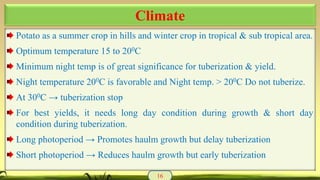 Potato as a summer crop in hills and winter crop in tropical & sub tropical area.
Optimum temperature 15 to 200C
Minimum night temp is of great significance for tuberization & yield.
Night temperature 200C is favorable and Night temp. > 200C Do not tuberize.
At 300C → tuberization stop
For best yields, it needs long day condition during growth & short day
condition during tuberization.
Long photoperiod → Promotes haulm growth but delay tuberization
Short photoperiod → Reduces haulm growth but early tuberization
16
Climate
 