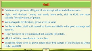 Potato can be grown in all types of soil except saline and alkaline soils.
Light, well drained, Loamy and sandy loam soils, rich in O.M. are most
suitable for cultivation, of potato.
With adequate fertilization, grown even in sand.
For better tuber yield soil should be loose and friable with good drainage and
aeration.
Heavy textured or wet undrained not suitable for potato.
pH 6.0 to 8.0 is considered to be the best.
Excellent Potato crop is grown under river-bed system of cultivation in Deesa
(B.K., Gujarat)
17
Soil
 
