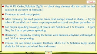 Use 0.5% CuSo4 Solution (5g/lit → check ring diseases dip the knife in that
solution or use spirit or formalin )
Treatment to cold stored potato
After removing the seed potatoes from cold storage spread in shade → layers
tubers 30 cm thick → 1 week → pre-sprouted as size of sorghum grain then us
For proper sprouting Soaking of pieces into Solution of 1 % thiourea + 1 ppm
GA3 for 1 hr to get proper sprouting.
Dormancy – broken by treating the tubers with thiourea, ethylene, chlorohydrin
and GA3 at time planting:
Control for soil borne diseases: Diathane M-45 0.2 % Solution keeps under
shade for 10 min- control soil borne diseases.
20
Conti…
 