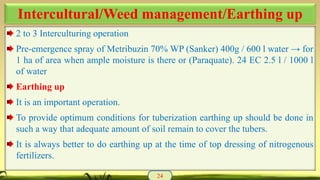 2 to 3 Interculturing operation
Pre-emergence spray of Metribuzin 70% WP (Sanker) 400g / 600 l water → for
1 ha of area when ample moisture is there or (Paraquate). 24 EC 2.5 l / 1000 l
of water
Earthing up
It is an important operation.
To provide optimum conditions for tuberization earthing up should be done in
such a way that adequate amount of soil remain to cover the tubers.
It is always better to do earthing up at the time of top dressing of nitrogenous
fertilizers.
24
Intercultural/Weed management/Earthing up
 