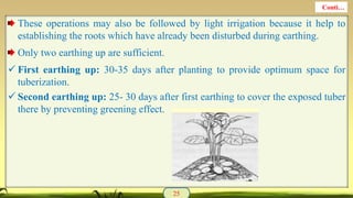 These operations may also be followed by light irrigation because it help to
establishing the roots which have already been disturbed during earthing.
Only two earthing up are sufficient.
 First earthing up: 30-35 days after planting to provide optimum space for
tuberization.
 Second earthing up: 25- 30 days after first earthing to cover the exposed tuber
there by preventing greening effect.
25
Conti…
 