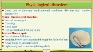 Cause due to abnormal environmental conditions like nutrition, weather,
maturity etc.
Major Physiological disorders
Internal brown spot
Greening
Black heart
Hollow heart and Chilling injury
Internal Brown Spot:
Due to Water deficiency
irregular, brown spots scattered through the flesh of tubers
Never found in vascular region
Light sandy soil → not irrigated regularly
35
Physiological disorders
 