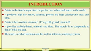 Potato is the fourth major food crop after rice, wheat and maize in the world.
It produces high dry matter, balanced protein and high calories/unit area/ unit
time.
Potato tubers contain vitamin-C (17 mg/100 g) and vitamin-B.
It provides carbohydrates, minerals and fibre. The protein is as comparable to
that of milk and egg.
The crop is of short duration and fits well in intensive cropping system.
INTRODUCTION
4
 