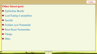 Other Insect-pest:
Epilachna Beetle
Leaf Eating Caterpillars
Jassids
Golden cyst Nematode
Root Knot Nematodes
Thrips
Mite
3
Conti…
 