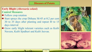 Early Blight (Alternaria solani)
Control Measures
Follow crop rotation
Start sprays the crop Dithane M-45 at 0.2 per cent
30 to 35 days after planting and repeat I0 to 15
days interval
Grow early blight tolerant varieties such as Kufri
Naveen, Kufri Sjndhuri and Kufri Jeevan.
3
Diseases of Potato
 