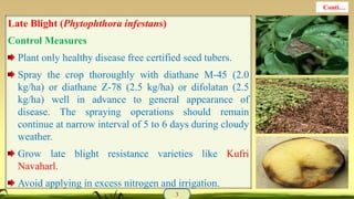 Late Blight (Phytophthora infestans)
Control Measures
Plant only healthy disease free certified seed tubers.
Spray the crop thoroughly with diathane M-45 (2.0
kg/ha) or diathane Z-78 (2.5 kg/ha) or difolatan (2.5
kg/ha) well in advance to general appearance of
disease. The spraying operations should remain
continue at narrow interval of 5 to 6 days during cloudy
weather.
Grow late blight resistance varieties like Kufri
Navaharl.
Avoid applying in excess nitrogen and irrigation.
3
Conti…
 