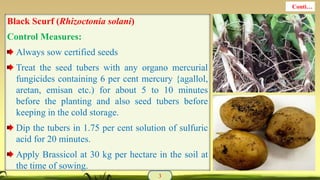 Black Scurf (Rhizoctonia solani)
Control Measures:
Always sow certified seeds
Treat the seed tubers with any organo mercurial
fungicides containing 6 per cent mercury {agallol,
aretan, emisan etc.) for about 5 to 10 minutes
before the planting and also seed tubers before
keeping in the cold storage.
Dip the tubers in 1.75 per cent solution of sulfuric
acid for 20 minutes.
Apply Brassicol at 30 kg per hectare in the soil at
the time of sowing.
3
Conti…
 