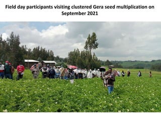 Field day participants visiting clustered Gera seed multiplication on
September 2021
 
