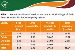 Variety Seed
amount
(ton)
Area
covered (ha)
Average
productivity
(ton/ha)
Total
production
(ton/ha)
Gera 1.39 0.76 33.23 25.26
Belete 0.70 0.36 30.47 10.97
Shenkola 0.32 0.18 21.92 2.98
Gorebela 0.10 0.06 35.09 2.11
Total 2.51 1.36 30.18 41.04
Table 1. Potato semi-formal seed production at Mush village of Gudo
Beret Kebele in 2019 main cropping season.
 