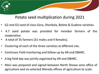 Potato seed multiplication during 2021
• G2 and G3 seed of class Gera, Shenkola, Belete & Gudene varieties.
• 4.7 seed potato was provided for member farmers of the
cooperative.
• A total of 35 farmers (31 males and 4 females).
• Clustering of each of the three varieties at different site.
• Continues Field monitoring and follow-up by AR and DBARC.
• A big field day was jointly organized by AR and DBARC.
• MoU was prepared and signed between North Shewa zone office of
agriculture and six selected Woreda offices of agriculture to scale.
 