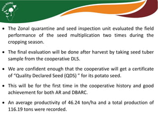  The Zonal quarantine and seed inspection unit evaluated the field
performance of the seed multiplication two times during the
cropping season.
 The final evaluation will be done after harvest by taking seed tuber
sample from the cooperative DLS.
 We are confident enough that the cooperative will get a certificate
of “Quality Declared Seed (QDS) ” for its potato seed.
 This will be for the first time in the cooperative history and good
achievement for both AR and DBARC.
 An average productivity of 46.24 ton/ha and a total production of
116.19 tons were recorded.
 
