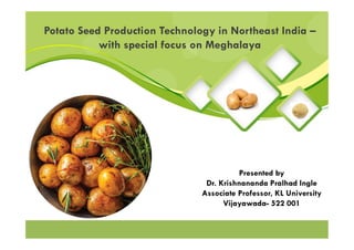 Potato Seed Production Technology in Northeast India –
with special focus on Meghalaya
Presented by
Dr. Krishnananda Pralhad Ingle
Associate Professor, KL University
Vijayawada- 522 001
 
