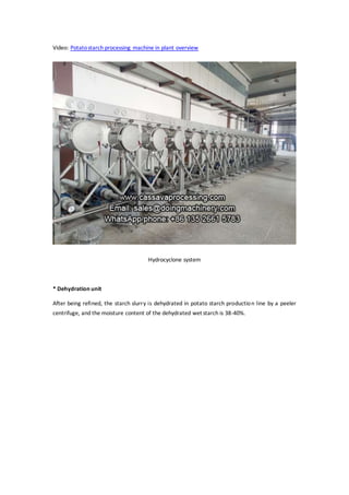 Video: Potatostarch processing machine in plant overview
Hydrocyclone system
* Dehydration unit
After being refined, the starch slurry is dehydrated in potato starch production line by a peeler
centrifuge, and the moisture content of the dehydrated wet starch is 38-40%.
 