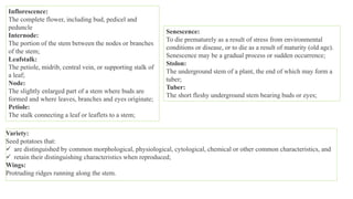Inflorescence:
The complete flower, including bud, pedicel and
peduncle
Internode:
The portion of the stem between the nodes or branches
of the stem;
Leafstalk:
The petiole, midrib, central vein, or supporting stalk of
a leaf;
Node:
The slightly enlarged part of a stem where buds are
formed and where leaves, branches and eyes originate;
Petiole:
The stalk connecting a leaf or leaflets to a stem;
Senescence:
To die prematurely as a result of stress from environmental
conditions or disease, or to die as a result of maturity (old age).
Senescence may be a gradual process or sudden occurrence;
Stolon:
The underground stem of a plant, the end of which may form a
tuber;
Tuber:
The short fleshy underground stem bearing buds or eyes;
Variety:
Seed potatoes that:
 are distinguished by common morphological, physiological, cytological, chemical or other common characteristics, and
 retain their distinguishing characteristics when reproduced;
Wings:
Protruding ridges running along the stem.
 