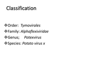 Classification
Order: Tymovirales
Family: Alphaflexiviridae
Genus; Potexvirus
Species: Potato virus x
 