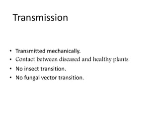 Transmission
• Transmitted mechanically.
• Contact between diseased and healthy plants
• No insect transition.
• No fungal vector transition.
 