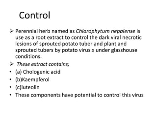 Control
 Perennial herb named as Chlorophytum nepalense is
use as a root extract to control the dark viral necrotic
lesions of sprouted potato tuber and plant and
sprouted tubers by potato virus x under glasshouse
conditions.
 These extract contains;
• (a) Chologenic acid
• (b)Kaempferol
• (c)luteolin
• These components have potential to control this virus
 