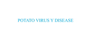POTATO VIRUS Y DISEASE
 