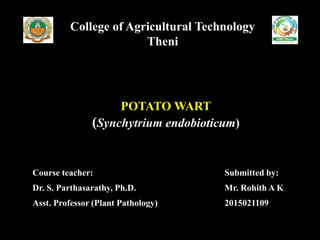 POTATO WART
(Synchytrium endobioticum)
Course teacher: Submitted by:
Dr. S. Parthasarathy, Ph.D. Mr. Rohith A K
Asst. Professor (Plant Pathology) 2015021109
College of Agricultural Technology
Theni
 