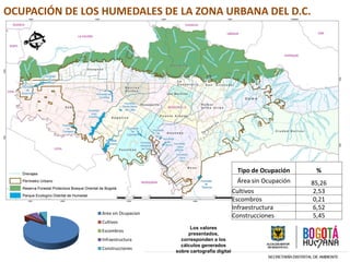 ÁREA TOTAL
DE
HUMEDALES
695,12 Has
Los valores
presentados,
corresponden a los
cálculos generados
sobre cartografía digital
OCUPACIÓN DE LOS HUMEDALES DE LA ZONA URBANA DEL D.C.
Tipo de Ocupación %
Área sin Ocupación 85,26
Cultivos 2,53
Escombros 0,21
Infraestructura 6,52
Construcciones 5,45Area sin Ocupacion
Cultivos
Escombros
Infraestructura
Construcciones
 