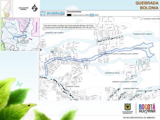 QUEBRADA
BOLONIA
 