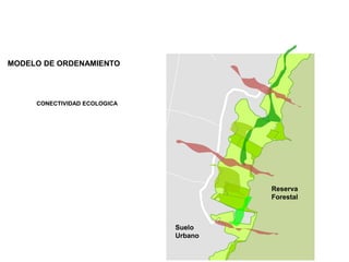 CONECTIVIDAD ECOLOGICA
Reserva
Forestal
Suelo
Urbano
MODELO DE ORDENAMIENTO
 