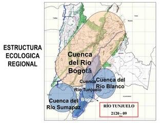 ESTRUCTURA
ECOLOGICA
REGIONAL
Bogotá
Cuenca del
Río Blanco
Cuenca del
Río Sumapaz
Cuenca
del Río
Bogotá
Cuenca
Río Tunjuelo
RÍO TUNJUELO
2120 - 09
 