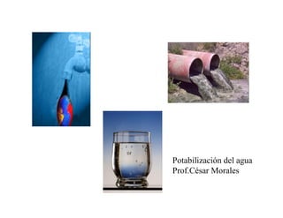 Potabilización del agua 
Prof.César Morales
 
