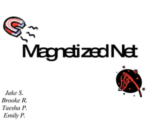 Magnetized Net   Jake S. Brooke R. Taesha P. Emily P. 
