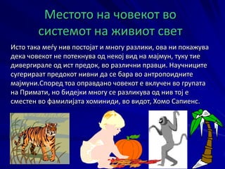 Потекло и еволуција на човекот | PPT