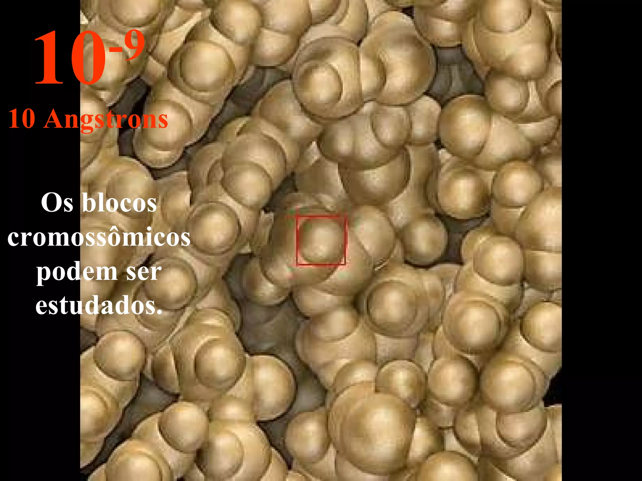 Os blocos cromossômicos podem ser estudados. 10 -9 10 Angstrons 