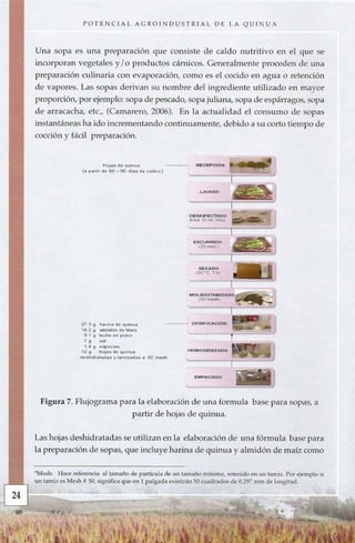 Potencial agroindustrial de_la_quinua_(1)[1] | PDF