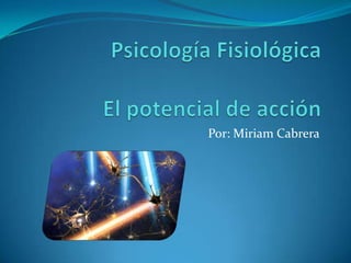 PsicologíaFisiológicaEl potencial de acción Por: Miriam Cabrera 
