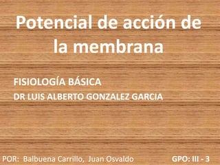 Potencial de acción de
       la membrana
   FISIOLOGÍA BÁSICA
   DR LUIS ALBERTO GONZALEZ GARCIA




POR: Balbuena Carrillo, Juan Osvaldo   GPO: III - 3
 