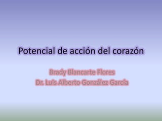 Potencial de acción del corazón

         Brady Blancarte Flores
    Dr. Luis Alberto González García
 