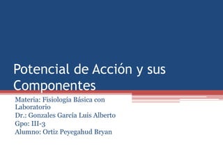 Potencial de Acción y sus
Componentes
Materia: Fisiología Básica con
Laboratorio
Dr.: Gonzales García Luis Alberto
Gpo: III-3
Alumno: Ortiz Peyegahud Bryan
 