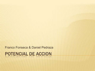 Potencial de Accion Franco Fonseca & Daniel Pedraza 