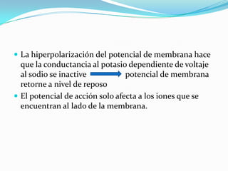  La hiperpolarización del potencial de membrana hace
que la conductancia al potasio dependiente de voltaje
al sodio se inactive potencial de membrana
retorne a nivel de reposo
 El potencial de acción solo afecta a los iones que se
encuentran al lado de la membrana.
 