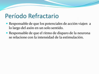 Período Refractario
 Responsable de que los potenciales de acción viajen a
lo largo del axón en un solo sentido.
 Responsable de que el ritmo de disparo de la neurona
se relacione con la intensidad de la estimulación.
 