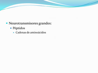 Neurotransmisores grandes:
 Péptidos
 Cadenas de aminoácidos
 