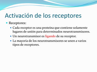 Activación de los receptores
 Receptores:
 Cada receptor es una proteína que contiene solamente
lugares de unión para determinados neurotransmisores.
 Un neurotransmisor es ligando de su receptor.
 La mayoría de los neurotransmisores se unen a varios
tipos de receptores.
 