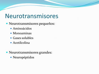 Neurotransmisores
 Neurotransmisores pequeños:
 Aminoácidos
 Monoaminas
 Gases solubles
 Acetilcolina
 Neurotransmisores grandes:
 Neuropéptidos
 