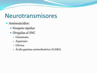 Neurotransmisores
 Aminoácidos:
 Sinapsis rápidas
 Dirigidas al SNC
 Glutamato
 Aspartato
 Glicina
 Ácido gamma-aminobutírico (GABA)
 