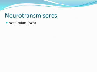 Neurotransmisores
 Acetilcolina (Ach)
 