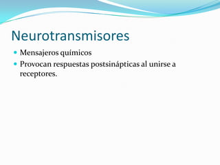 Neurotransmisores
 Mensajeros químicos
 Provocan respuestas postsinápticas al unirse a
receptores.
 