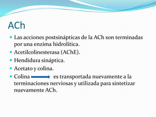 ACh
 Las acciones postsinápticas de la ACh son terminadas
por una enzima hidrolítica.
 Acetilcolinesterasa (AChE).
 Hendidura sináptica.
 Acetato y colina.
 Colina es transportada nuevamente a la
terminaciones nerviosas y utilizada para sintetizar
nuevamente ACh.
 