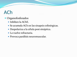 ACh
 Organofosforados
 Inhiben la AChE.
 Se acumula ACh en las sinapsis colinérgicas.
 Despolariza a la célula post sináptica.
 La vuelve refractaria.
 Provoca parálisis neuromuscular.
 