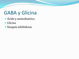 GABA y Glicina
 Ácido γ-aminobutírico
 Glicina
 Sinapsis inhibidoras
 